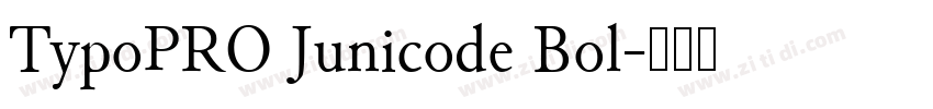 TypoPRO Junicode Bol字体转换